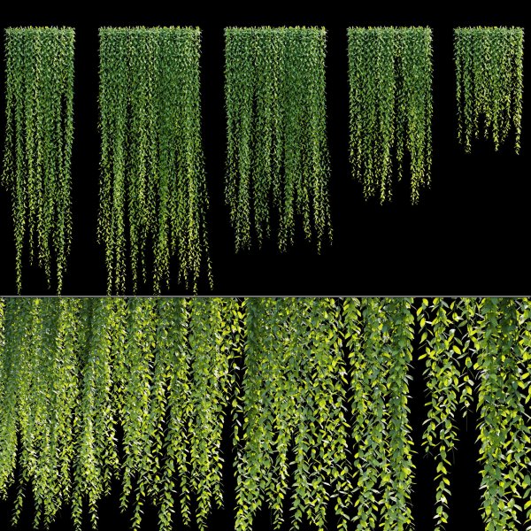 brushes相关文章列表 - 老梦c4d